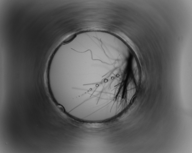 X0000089351293200707131524