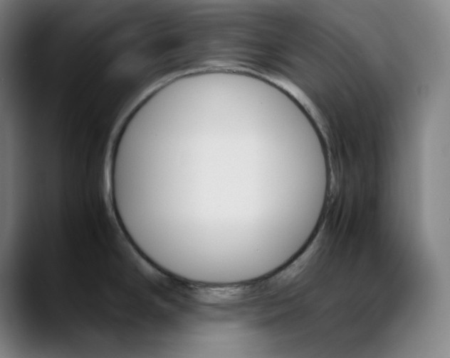 X0000089351294200707131524