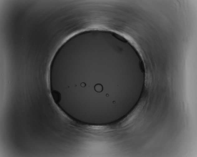 X0000089351295200707131524