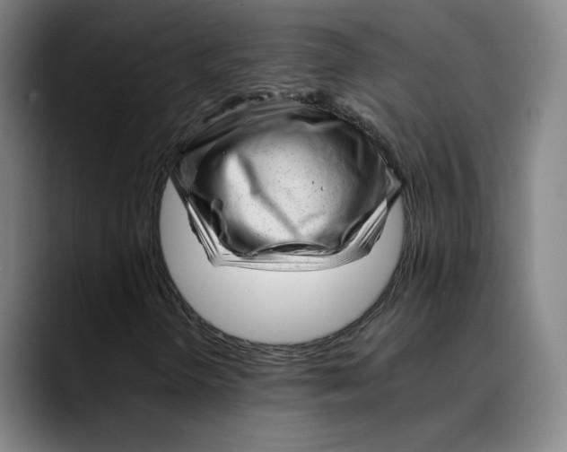 X0000089351298200707131523