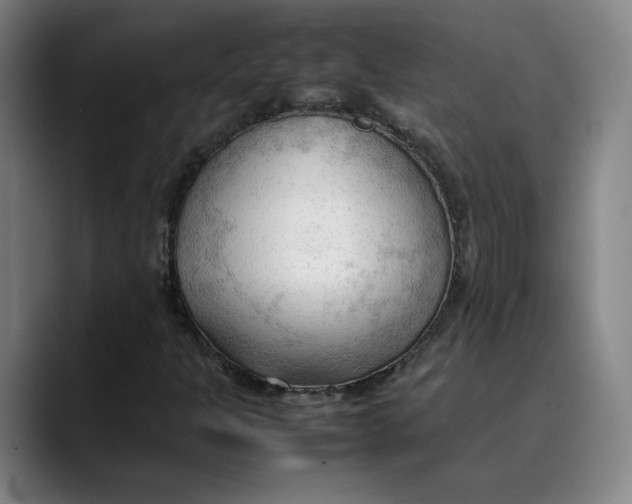X0000089351301200707131523