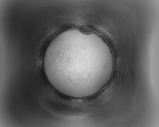X0000089351302200707131523