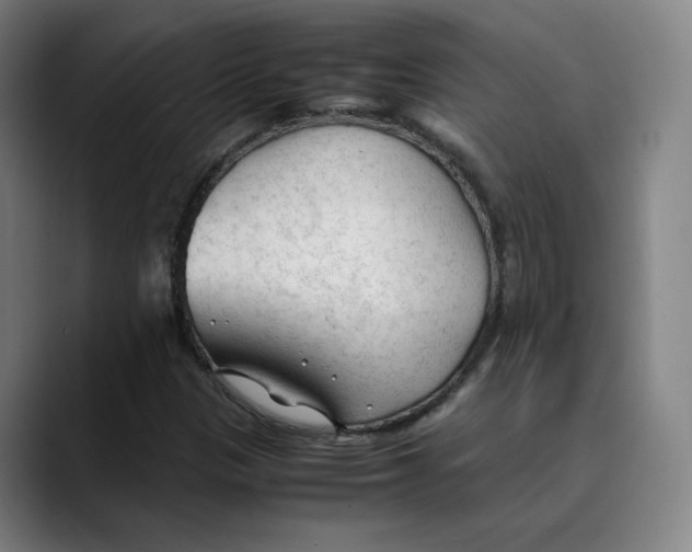 X0000089351305200707131524