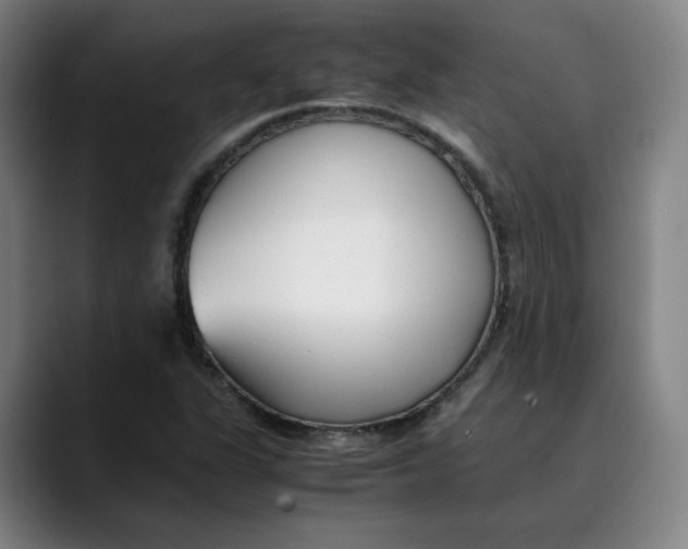 X0000089351311200707131524