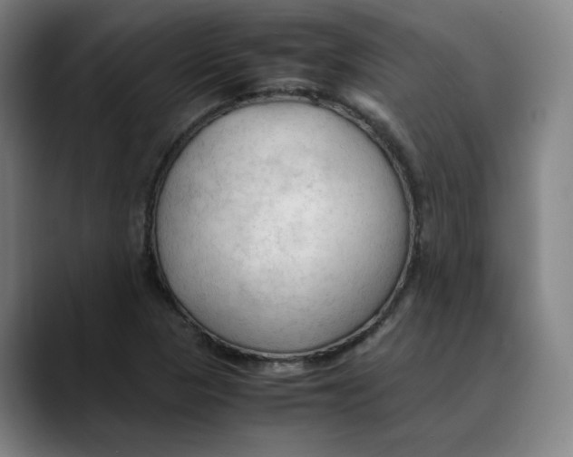 X0000089351313200707131524