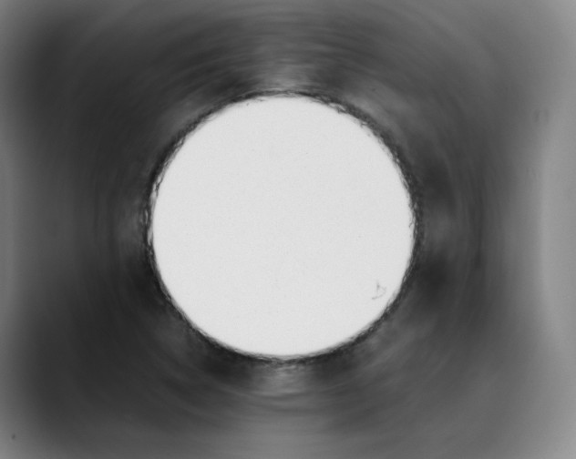 X0000089351314200707131524