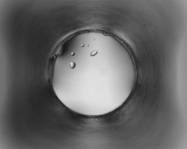 X0000089351316200707131524