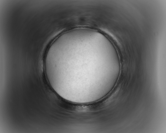 X0000089351317200707131524