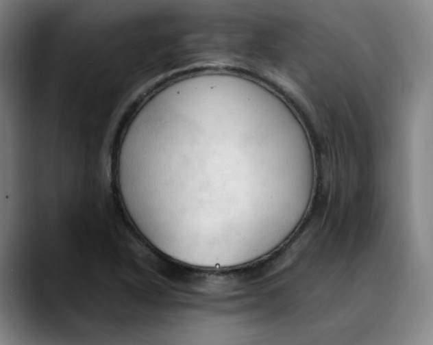 X0000089351318200707131524