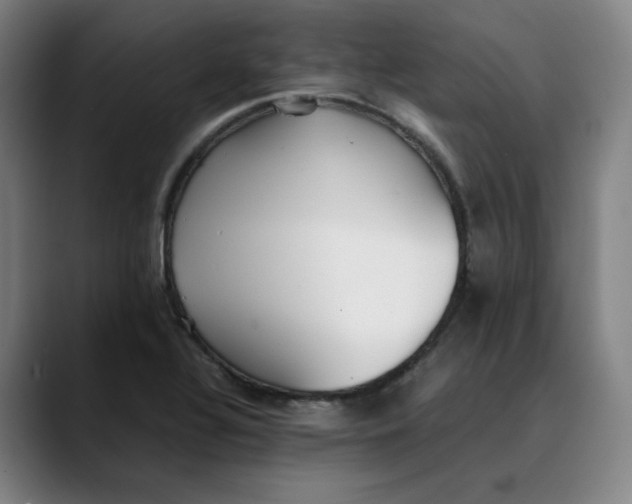 X0000089351320200707131524