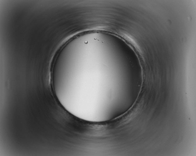X0000089351324200707131524