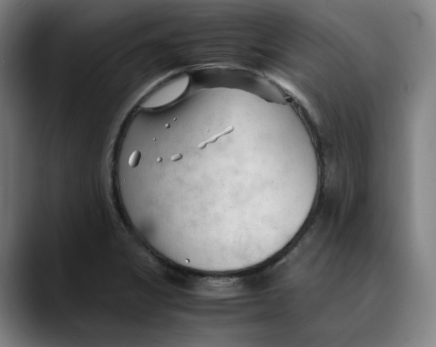 X0000089351325200707131524