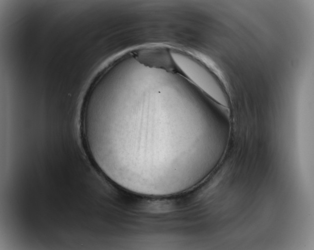 X0000089351327200707131524