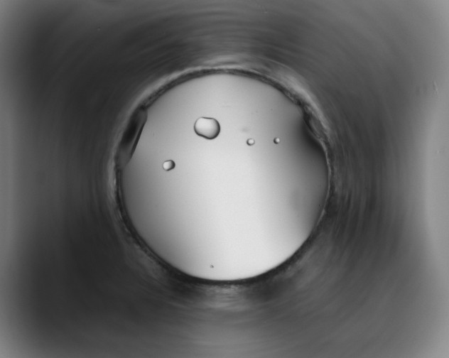 X0000089351328200707131524