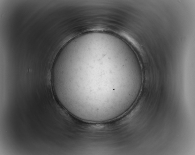 X0000089351329200707131524