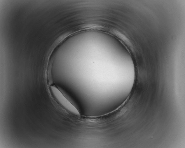 X0000089351330200707131524