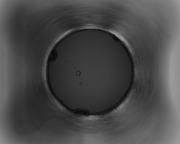 X0000089351333200707131524