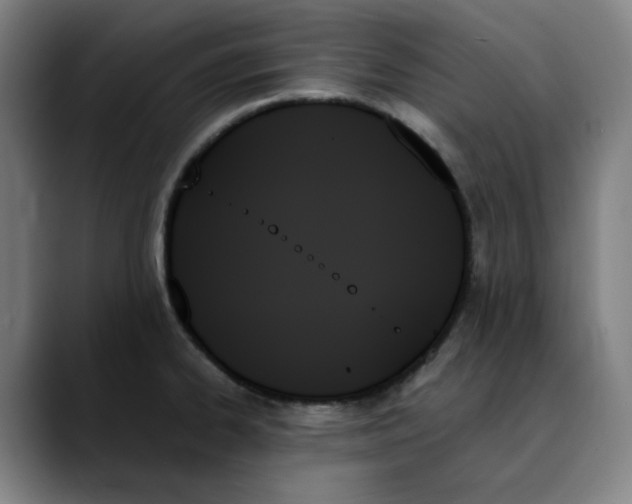 X0000089351334200707131524