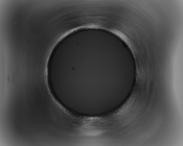 X0000089351335200707131524