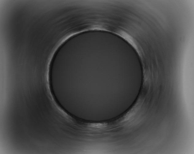 X0000089351339200707131524