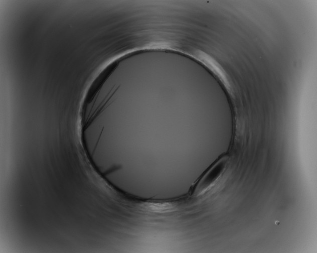 X0000089351340200707131524