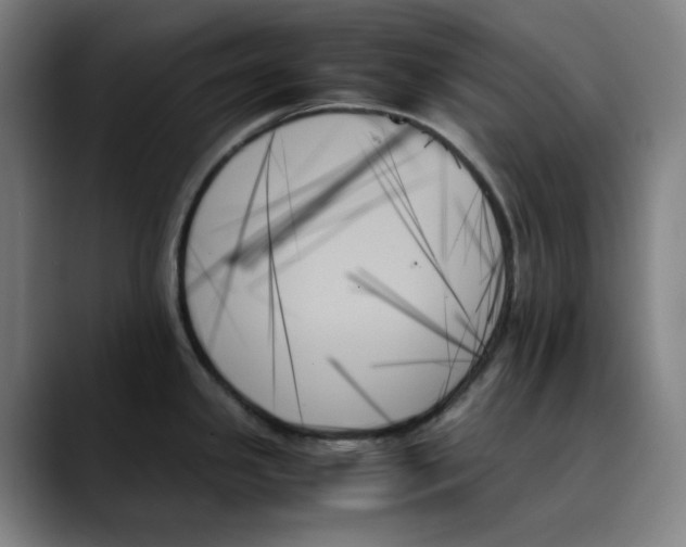 X0000089351341200707131524