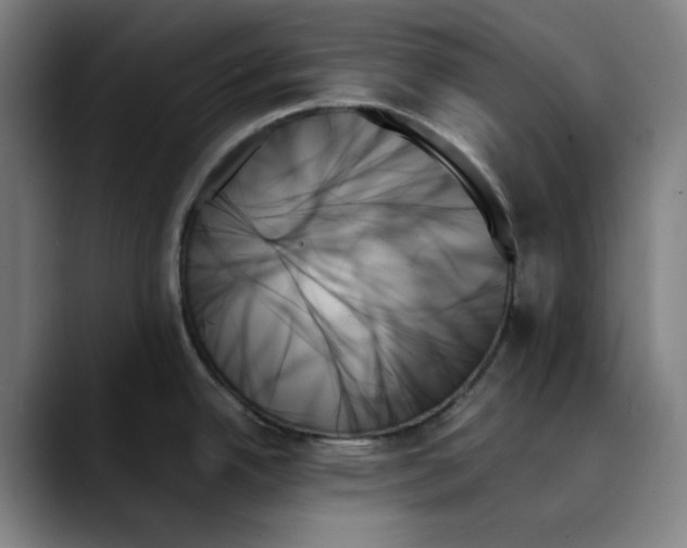 X0000089351342200707131524