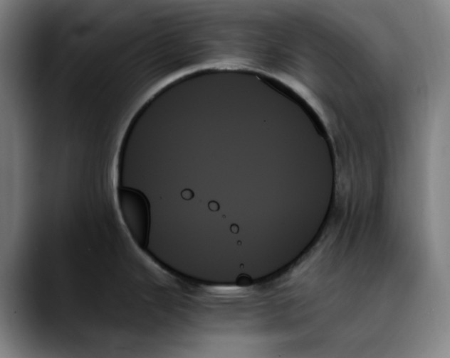 X0000089351343200707131524