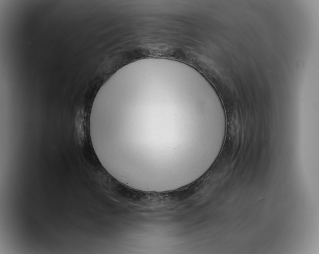 X0000089351346200707131523