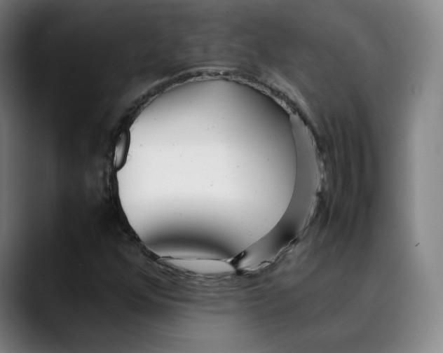 X0000089351352200707131523