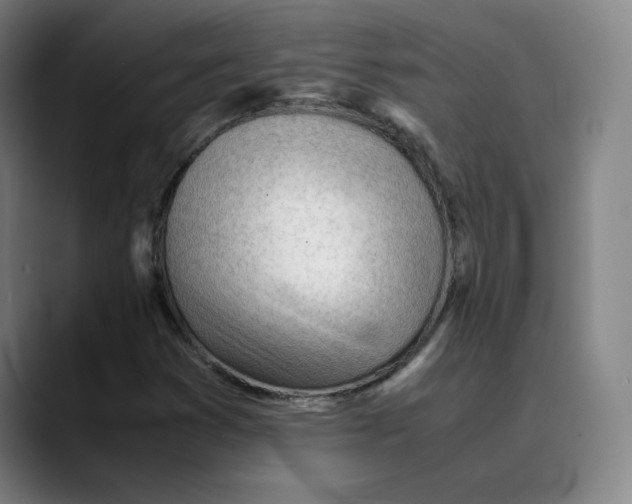 X0000089351353200707131523