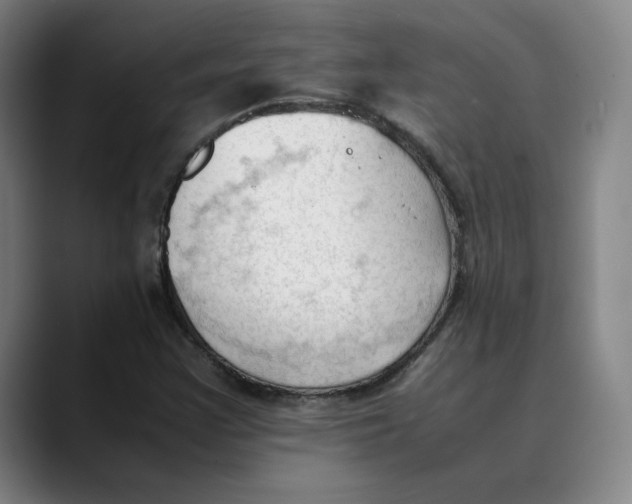 X0000089351355200707131523