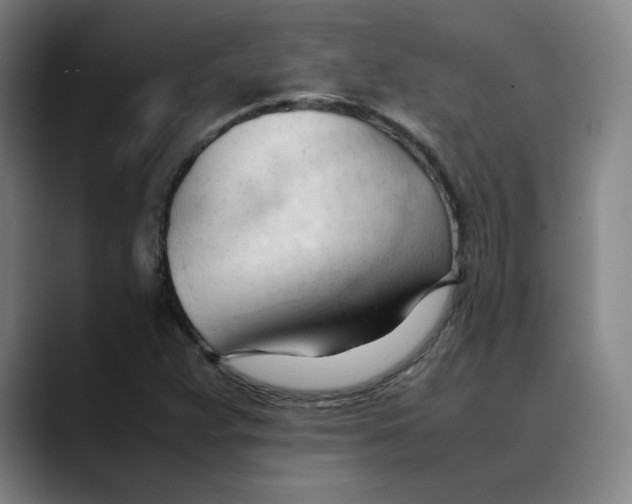 X0000089351359200707131523