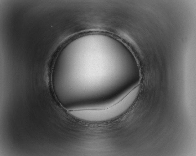 X0000089351360200707131523