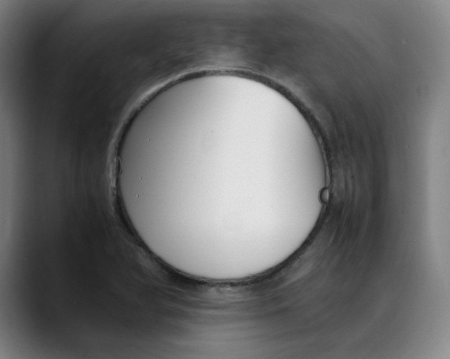 X0000089351366200707131523