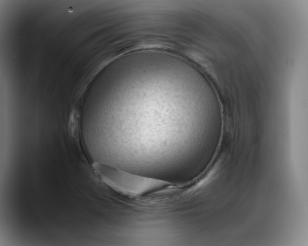 X0000089351369200707131523