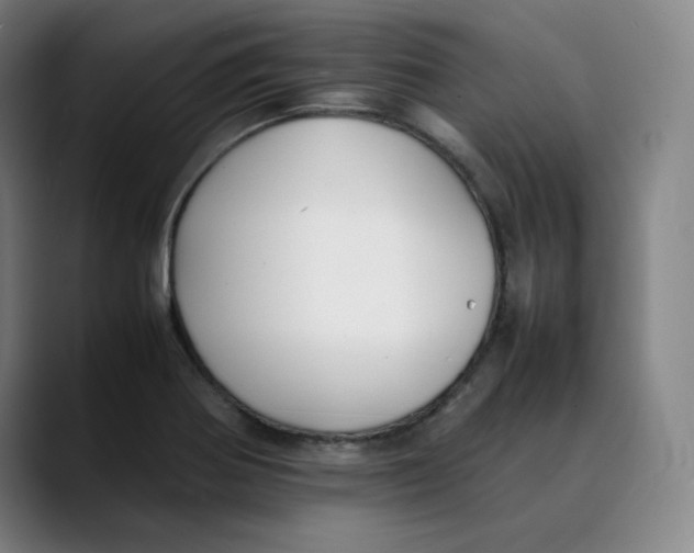 X0000089351370200707131523