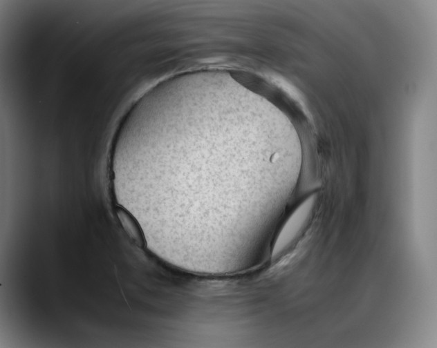 X0000089351373200707131523