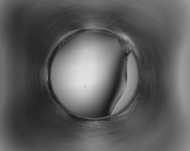 X0000089351376200707131523