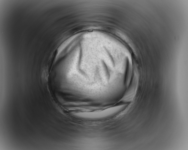 X0000089351377200707131523
