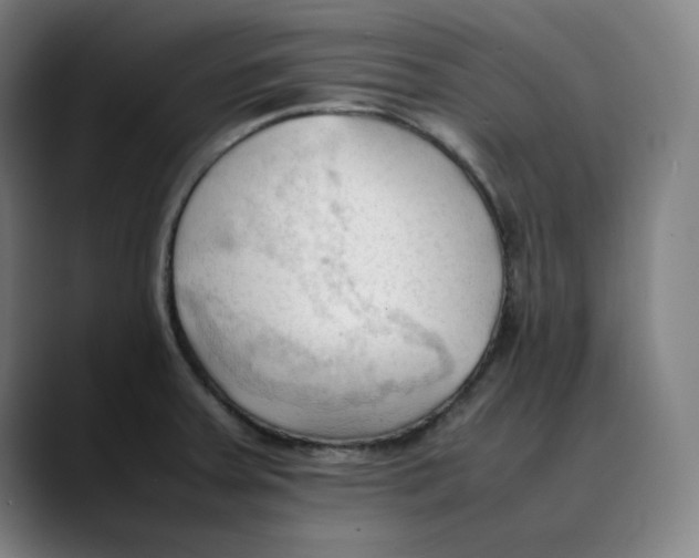 X0000089351379200707131523