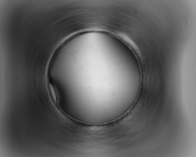 X0000089351380200707131523