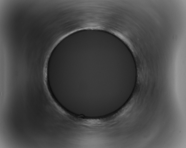 X0000089351383200707131523