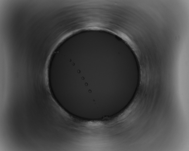 X0000089351384200707131523