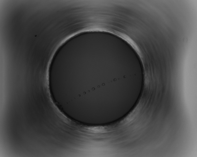 X0000089351388200707131523
