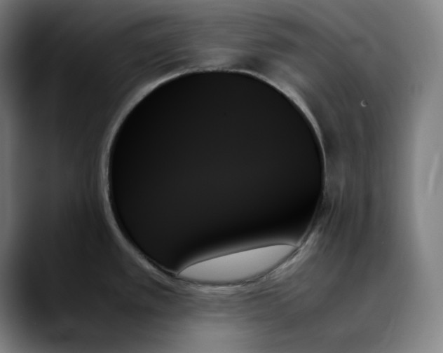 X0000089351389200707131523