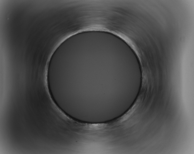 X0000089351390200707131523