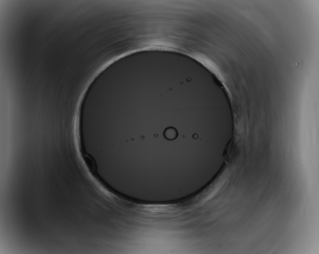 X0000089351391200707131523