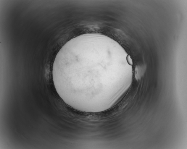 X0000089351395200707131522
