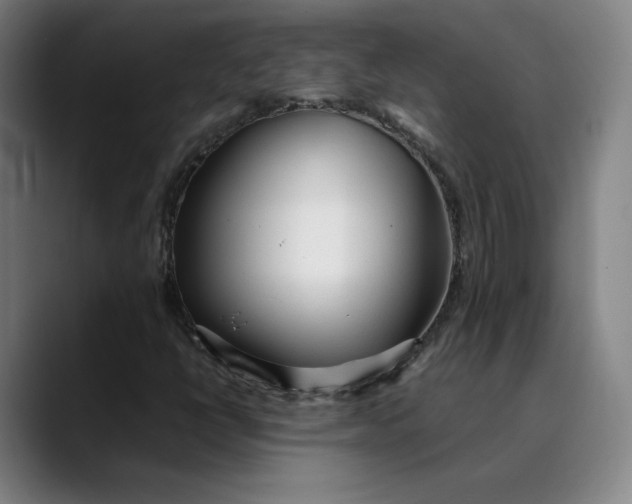 X0000089351398200707131522